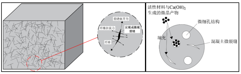 20240612296316.png 6.png