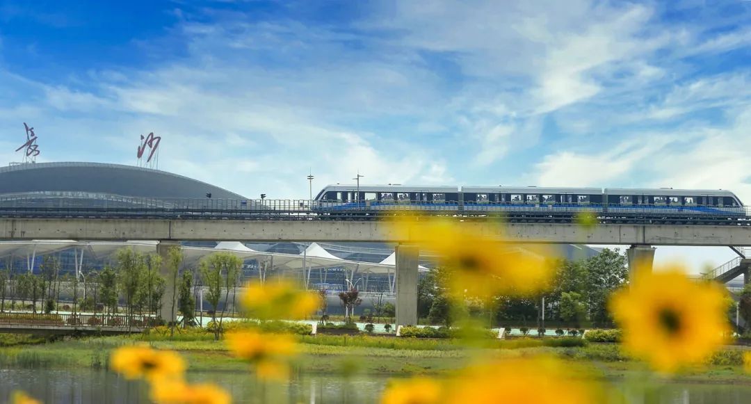 20260309248422.jpg 8.jpg